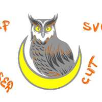 Owl Multilayer Svg Dxf Files 3D Layered Vector Art Cut File For Cnc Laser Or Cricut