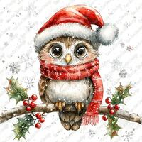 Cute Scarfed Owl Clipart, 10 High Quality JPG, Christmas Owl, Red Hat Owl, Winter Owl Digital Downlo