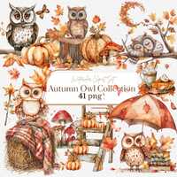 Autumn Owl Clipart Set | 41 PNG Fall Woodland Animals | Watercolor Owl Clip Art |Cozy Forest Illustr