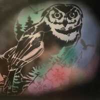Spray Paint Art OWL and Flowers 12 x 10 "