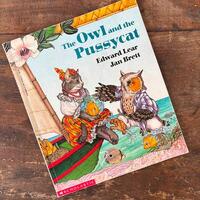 Owl and Pussycat Edward Lear Illustrated by Jan Brett Children's Classic Poetry Book