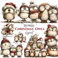 Whimsical Owls Christmas Clipart: Funny Holiday Graphics (Digital Download - 23 PNGs)