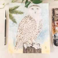Snowy Owl In Winter Original Watercolor Painting. 9 x 12 Unframed Wildlife Bird Painting.