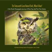 Owl Book, Owl Photography, Owl Coffee Table Book, Baby Owls Children's Book, Great Horned Owls B