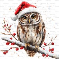 19 Christmas Owl Clipart | Holiday Bird Art | Winter Wildlife | Printable Watercolor Art | High Qual