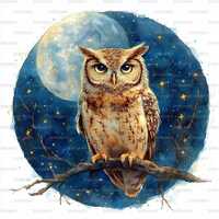 23 Owl with Moon Clipart | Night Bird Art | Celestial Animal | Printable Watercolor Art | High Quali