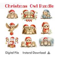 Christmas Owl Clipart Bundle | 9 Watercolor Baby Owl Illustrations | PNG, Transparent, High-Res, Ins
