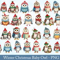 Cute Winter Christmas Baby Owl PNG | Adorable Holiday Owl Clipart | Christmas Sublimation Design