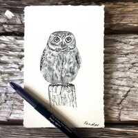 Owl Portrait, Small Original Ink Art