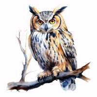 Owl Clipart, Night Bird Images, 10 Watercolor Clip Art, Printable JPGs, Instant Download, Commercial