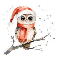 Watercolor Christmas Owl Clipart, 24 PNG Winter Animal Illustrations, Holiday Owl Clip Art, Festive 
