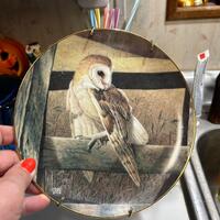 Vintage 1994 Barn Owl Solitary Sentinel Lee Cable Collector Plate
