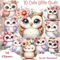 Watercolor Owl Bundle, Cute Owl Clipart, PNG Clipart, Clipart for Commercial Use, Watercolor Clipart