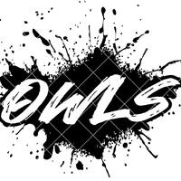 Owls Paint Splatter design - SVG/DXF/PNG file for cutting machines and sublimation - Customize in sc