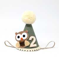 Owl Birthday Hat, Look Who's One, Owl Birthday, Birds of Prey, Birthday Party, Hat, Owl Birthday