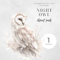 Beautiful Night Owl Clipart Image, Elegant Barn Owl PNG, Woodland Animal Illustration, Realistic Ill