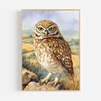 Little Owl Watercolor Painting Print Framed Poster or Canvas Realistic Little Owl Country Prairie Wa
