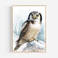 Northern Hawk Owl Watercolor Painting Print Framed Poster or Canvas Northern Hawk Owl Snowy Pines Ar