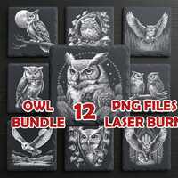 Owl Laser Engraving Bundle – 12 Wildlife PNG Files for Slate Coasters, Forest Bird Designs, Gl