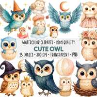 25 Cute Owl Watercolor Clipart Bundle, PNG Nursery Baby Shower, Digital Art, Cute Birds, Whimsical O