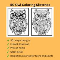 50 Owl Coloring Pages PDF Download &ndash; Printable Adult Sketches for Relaxation, Instant Digital 