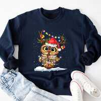 Santa Owl Christmas Lights PNG | Cute Holiday Bird Clipart | Funny Winter Snow Owl Christmas Sweater