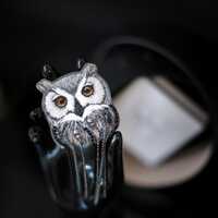 Embroidered Owl Brooch - Christmas gift for Nature and Bird lovers