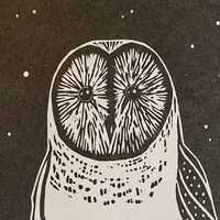 Night Owl. Original limited edition linocut.