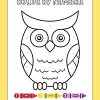 Owl Color by Number Activity Page