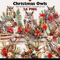 Christmas Owl Clipart, Winter Owl PNG, Poinsettia Animal Illustration, Woodland Christmas Decor Art,