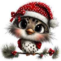 Christmas Owl Clipart Bundle, Winter Holiday Graphics (Digital Download)