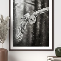 Silent Flight, Orignal Owl drawing, Charcoal & Pastel Drawing (14x18 in) Emart by Emilie