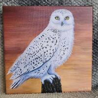 Snow Owl Canvas Print of Painting 8x8