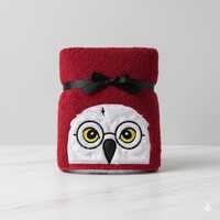 Embroidered Wizard Boy Owl Hooded Towel – Bath, Pool & Beach
