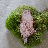 owl, owl jewelry, owl pin, owl brooch, owl jewelry under 10, gift, gift for her, jewelry under 10, b