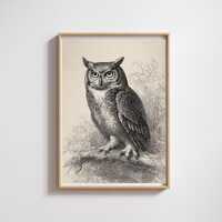 Vintage Owl Illustration Printable &bull; Antique Forest Engraving Art &bull; Rustic Wildlife Wall D
