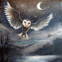 Night Owl, Original Acrylic on Canvas - Magic Paintings