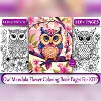110+ Owl Mandala Coloring Book Pages-KDP