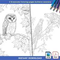 2 Birds Owl, Macaw coloring pages Pdf Jpg hand drawn  by artist Alena Lazareva