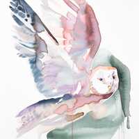 Flying Owl . Original Watercolor Painting on Canvas with Floater Frame . Loose Expressive Minimalist