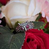 oxidized Sterling Silver Owl Ring with red ruby eyes signet ring