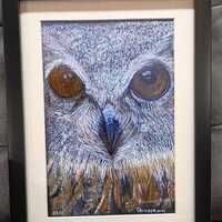 Owl Photo Print: Numbered, Signed Art