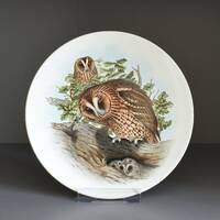 Poole Pottery Tawny Owl Display Plate, Vintage Wall Decor (6")