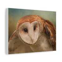 Barn Owl Matte Canvas, owl art, muted teal background, close up photography, gift for him, wildlife