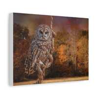 Barred Owl Canvas | Autumn Forest Wall Art, Matte Stretched Canvas