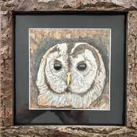 Tawny Owl