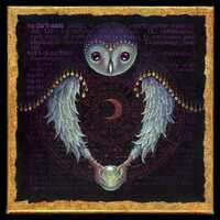 Fortune teller owl art print, Vaticinate: A mysterious seer holds a crystal ball revealing a future 