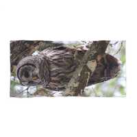 Barred Owl Photo Beach Towel | Forest Wildlife Bird Print
