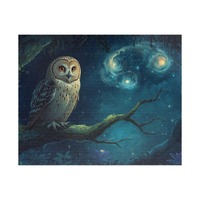 Starry Night Owl Puzzle - 520 piece