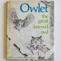 Owlet the Great Horned Owl by Irene Brady, 1974, Vintage picture book chronicles the life of a great